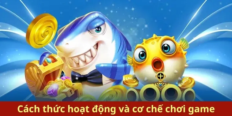 Cách Chơi Bắn Cá Royal Fishing Tại Win777 Hiệu Quả Nhất