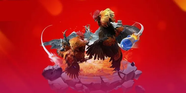 Khám Phá Đá Gà Win777 Cùng Những Trận Đấu Kịch Tính Hấp Dẫn Nhất