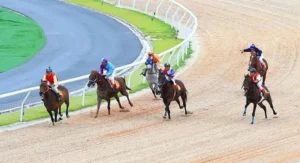 Tìm Hiểu Cá Cược Đua Ngựa Win777 Hấp Dẫn Cho Người Mới