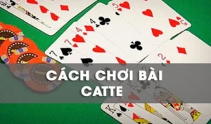 Cách Chơi Sắc Tê Nhà Cái Win777 Thú Vị Cho Người Mới