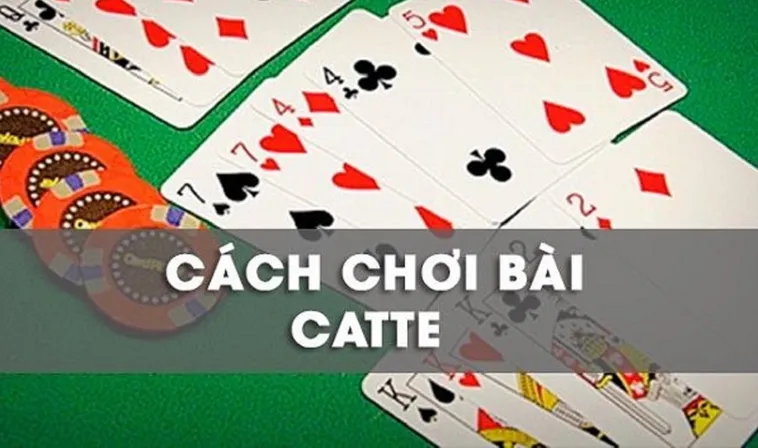 Cách Chơi Sắc Tê Nhà Cái Win777 Thú Vị Cho Người Mới